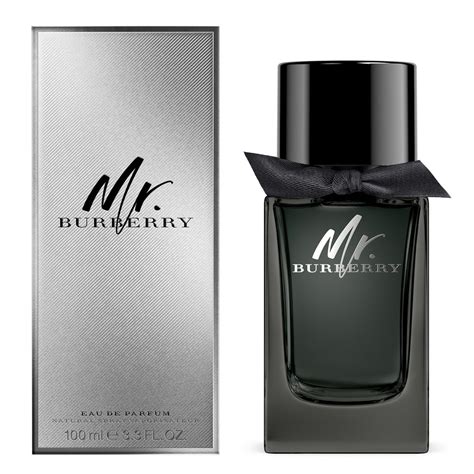 mr burberry cologne parfum|mr burberry cologne price.